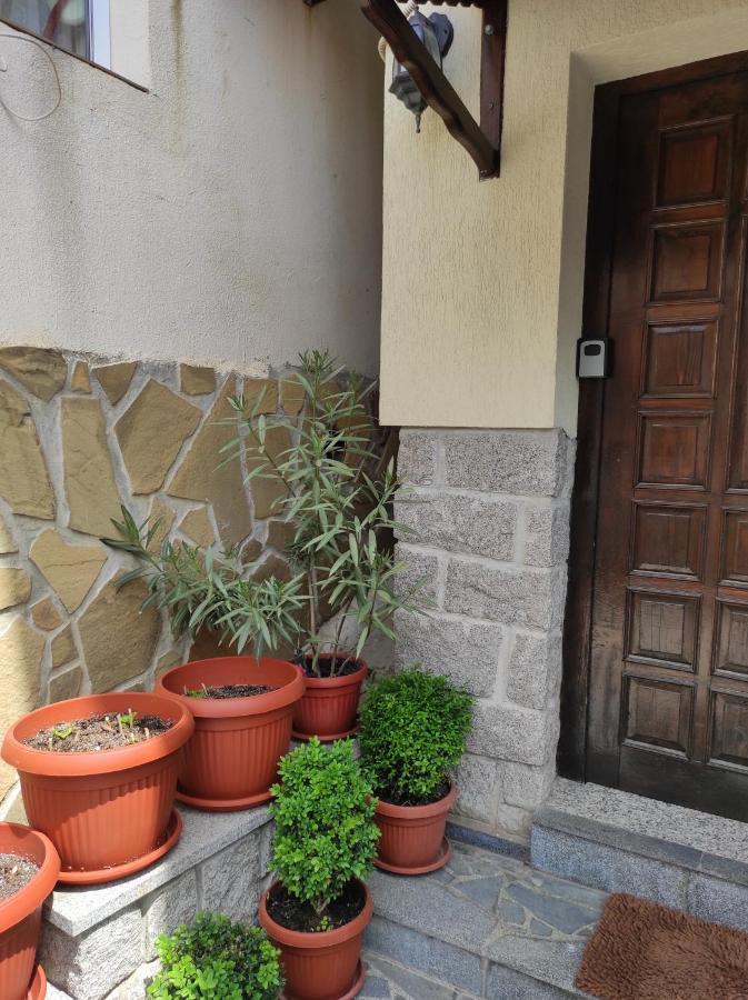 Рибарска 8 Apartment Sozopol Exterior photo
